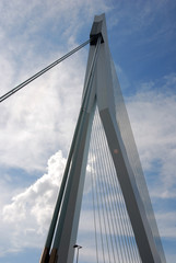 erasmus bridge rotterdam
