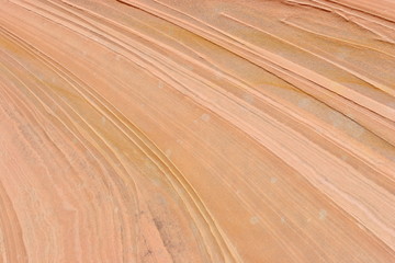 Sandstone, roche de l'Utah, West USA