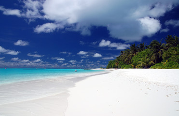 Tropischer Strand
