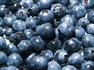 Blueberry Background 