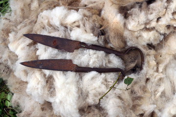 ancien ciseaux laine