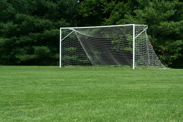 Fototapeta premium Soccer Net