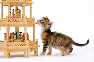 kitten and a german christmas ornament - a so called pyramid