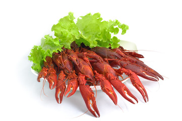 Crayfish party