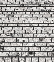 Obraz premium Background from old bricks