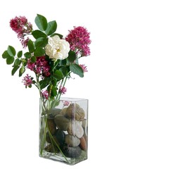 One White Rose Between Pink Flowers