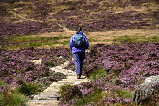 Simonside Hills Northumberland