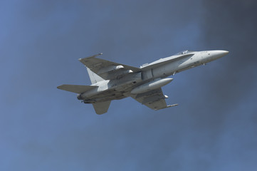 Fototapeta na wymiar F/A-18 Hornet