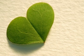 loving nature