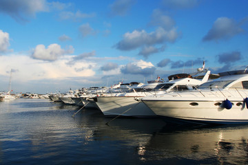 Beautiful sailboats lined up in a row