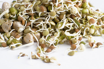 Sprouts.