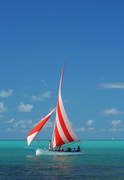Regatta