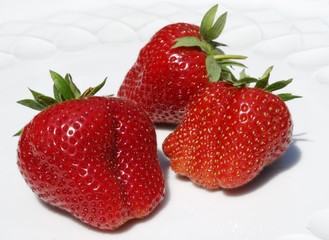 Erdbeeren