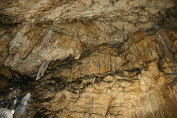 2007-08-15 Grottes d'Osselle 034