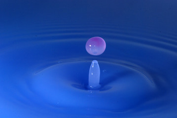Bouncing water droplet on the water surface