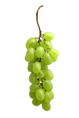 Grape cluster