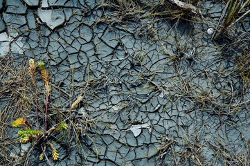 Terre craquelée en période de sécheresse