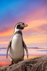 Keuken foto achterwand Pinguïn schattige pinguïn