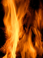 Flames or fire