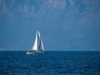 Fototapeta premium Sailing