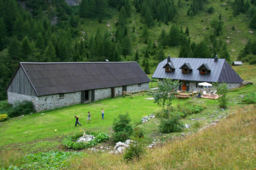 Alpine farm