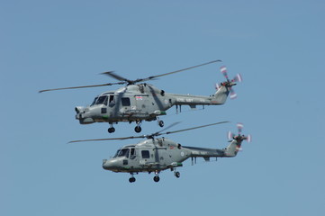 Fototapeta na wymiar Navy Helicopters