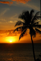 Obraz na płótnie Canvas Maui Sunset