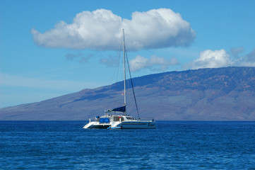 Fototapeta premium catamaran in maui