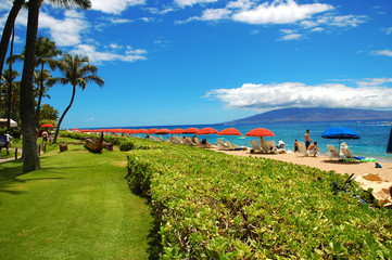 maui