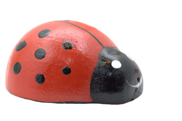 toy ladybird isolated on white