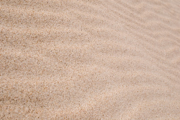 Fototapeta na wymiar windblown tle piasku