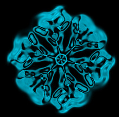 Obraz premium snowflake