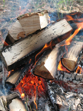 camp-fire