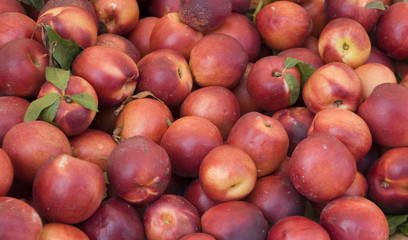 nectarines