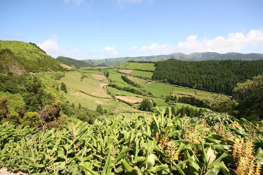 Campos Agr&iacute;colas em S&atilde;o Miguel