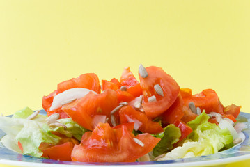 Tomato-Lettuce Salad with Sunflower-seeds 5