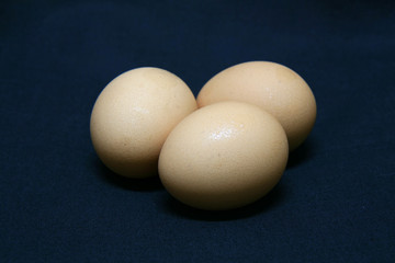 Chicken Eggs