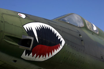 shark teeth nose art