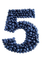 Blue-berry-a-tion-5