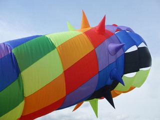 Wind Sock