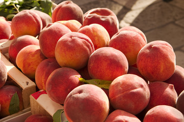 Juicy Peaches