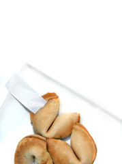 Fortune Cookies on White