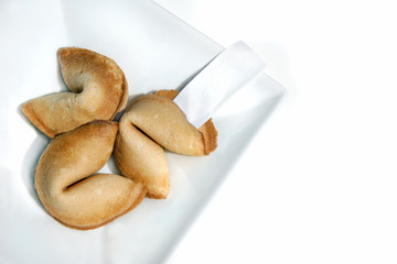 Fortune Cookies on White