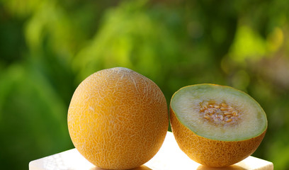 A yellow melon with natural light reflection.