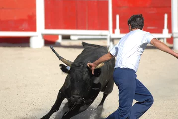 Fotobehang course camarguaise © razorconcept
