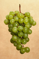  grape isolated on white background