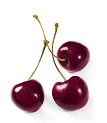 cherries on white background