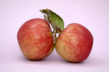 Apfel
