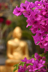 Buddhastatue in Luang Prabang, Laos