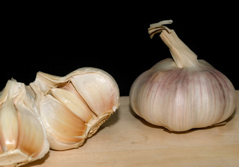 Still Life with Garlic